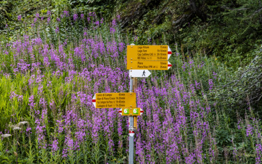 La nuova centrale per la regione