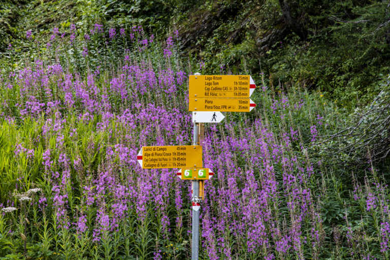 La nuova centrale per la regione